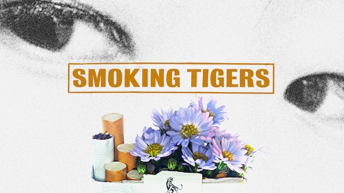 Smoking Tigers poster — movie on Max