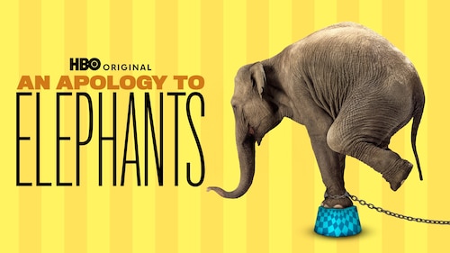 An Apology To Elephants poster — movie on Max