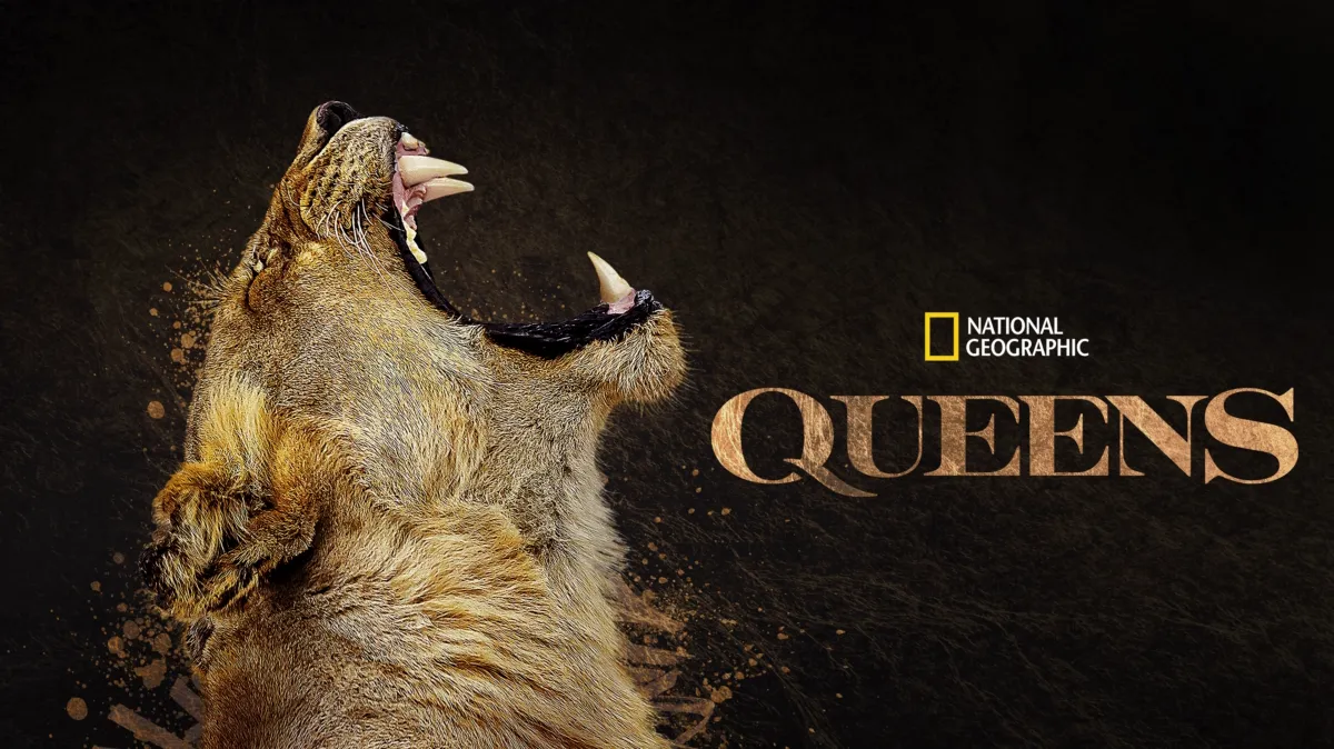 Queens poster — TV series on Disney+