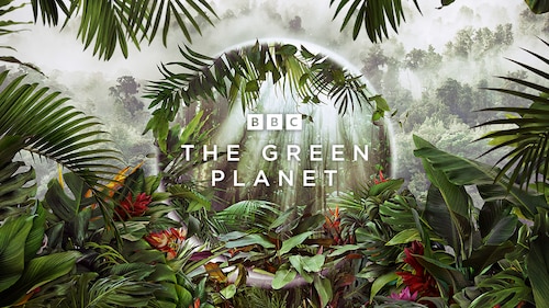 The Green Planet poster — TV series on Max