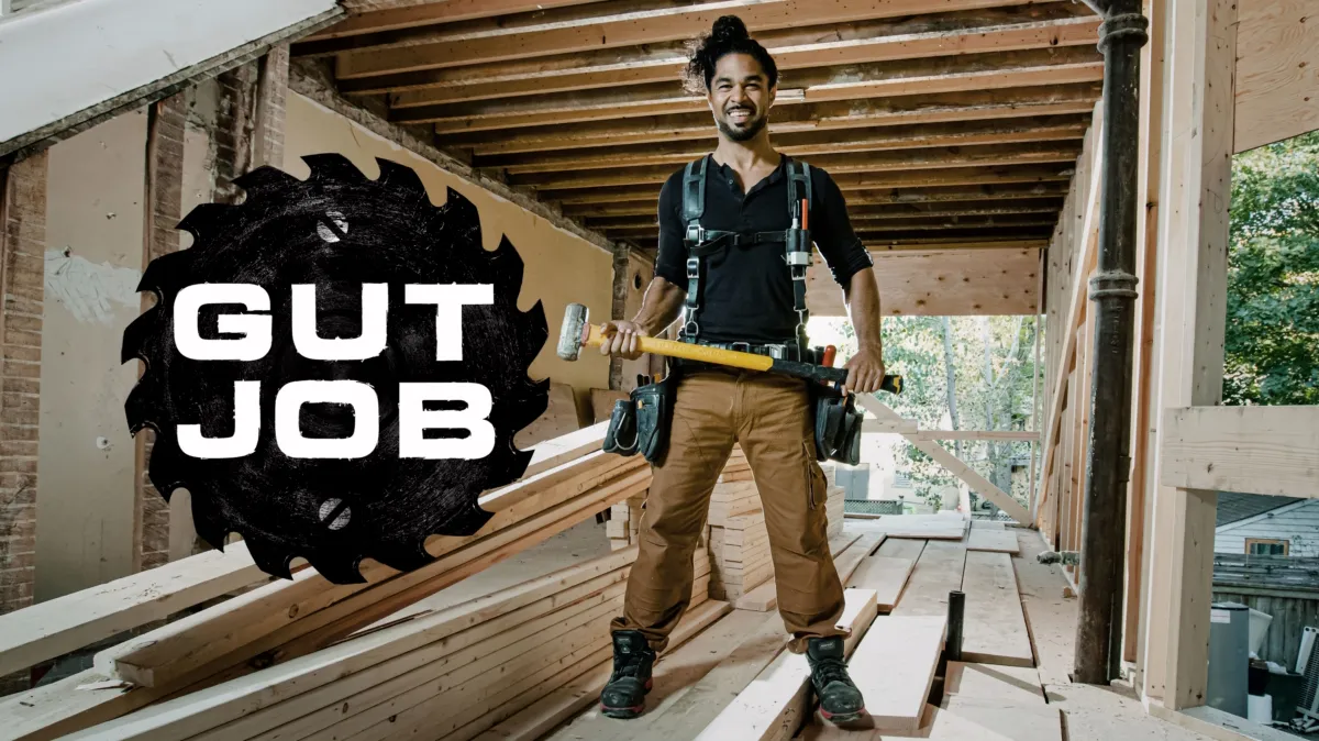 Gut Job poster — TV series on Disney+