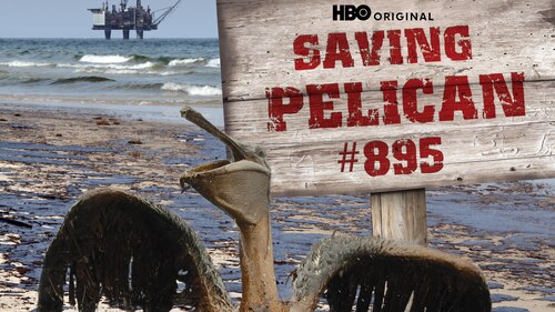 Saving Pelican 895 poster — movie on Max