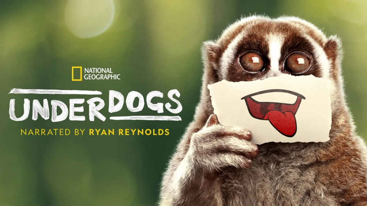 Underdogs poster — TV series on Disney+