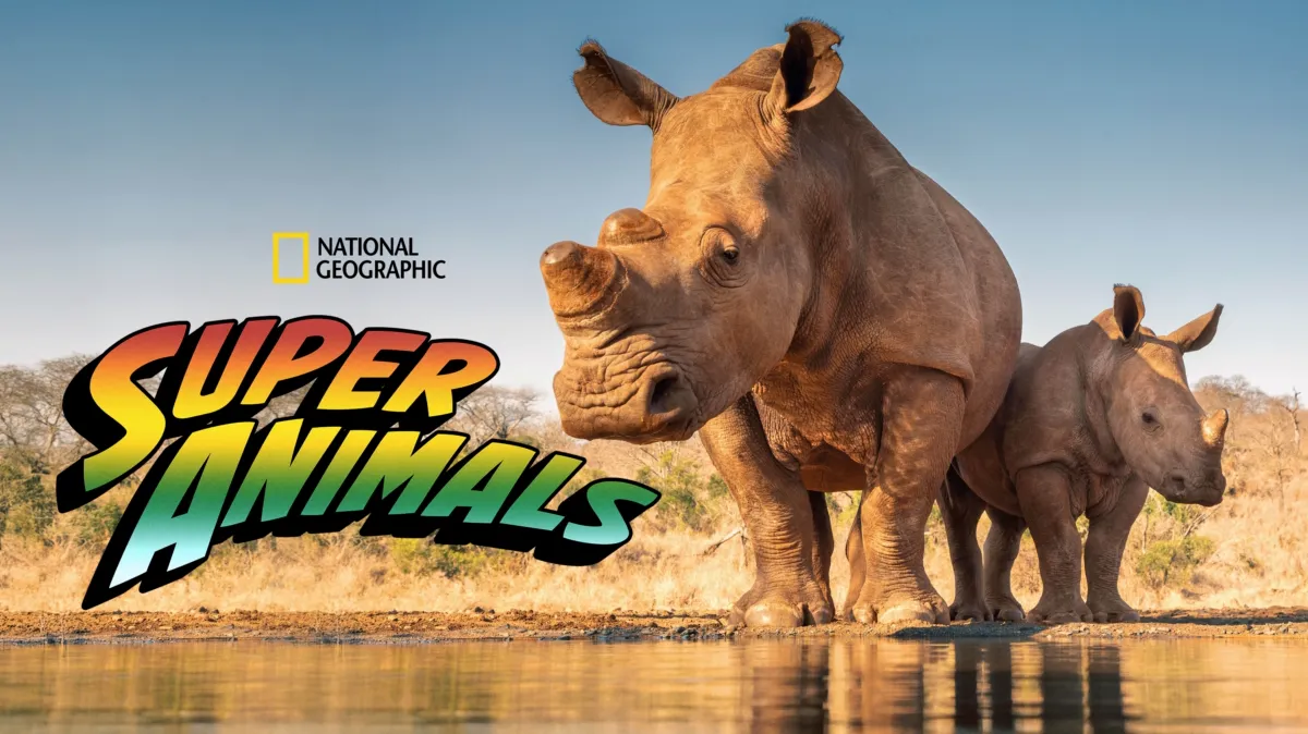 Super Animals poster — TV series on Disney+
