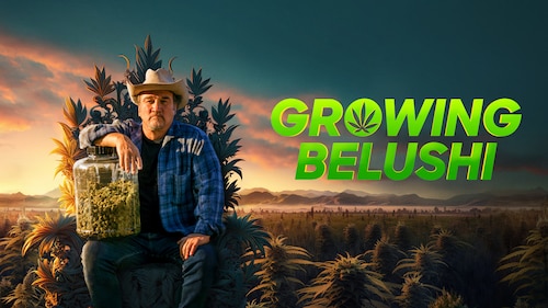 Growing Belushi poster — TV series on Max