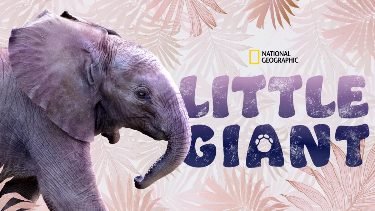 Little Giant poster — movie on Disney+