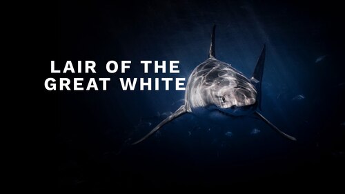 Lair of the Great White poster — movie on Max