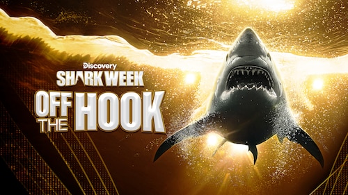 Shark Week: Off the Hook poster — movie on Max