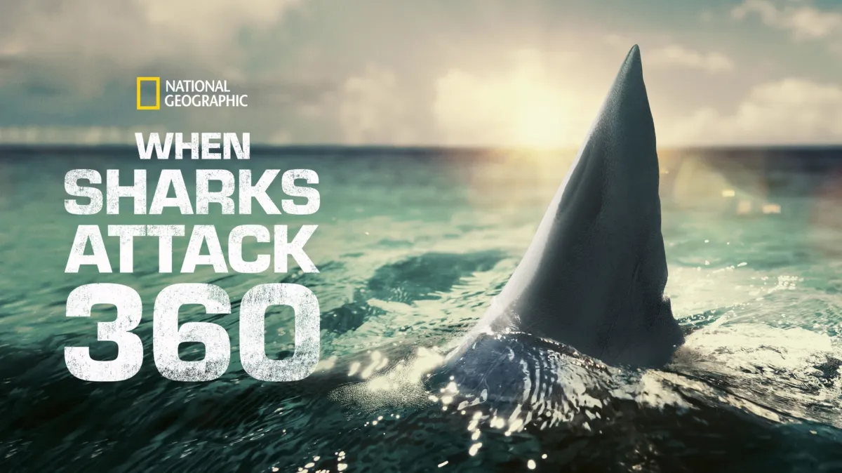 When Sharks Attack 360 poster — TV series on Disney+