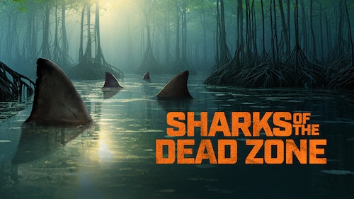 Sharks of the Dead Zone poster — movie on Max