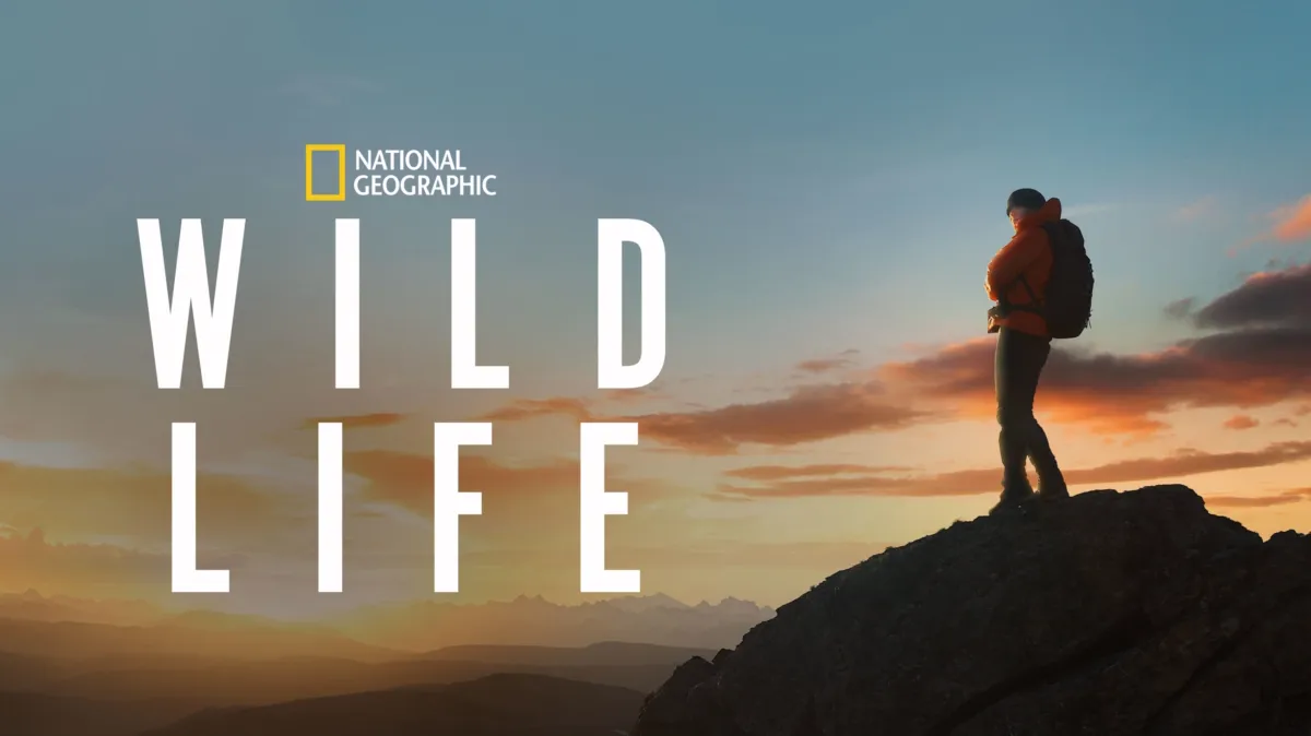 Wild Life poster — movie on Disney+