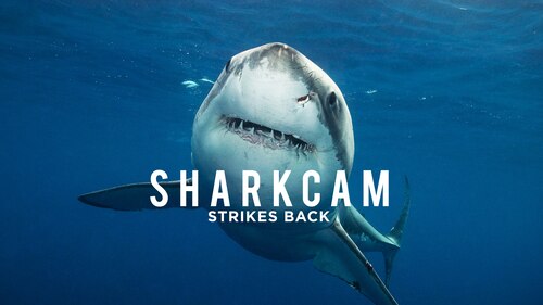 SharkCam Strikes Back poster — movie on Max