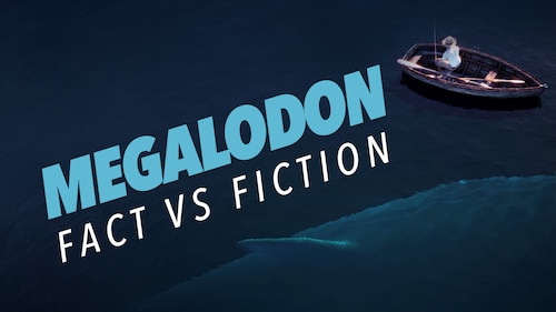 Megalodon: Fact vs Fiction poster — movie on Max