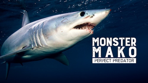 Monster Mako: Perfect Predator poster — movie on Max