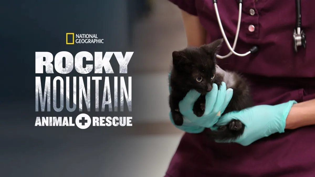 Rocky Mountain Animal Rescue poster — TV series on Disney+