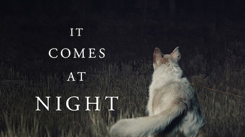It Comes at Night poster — movie on Max