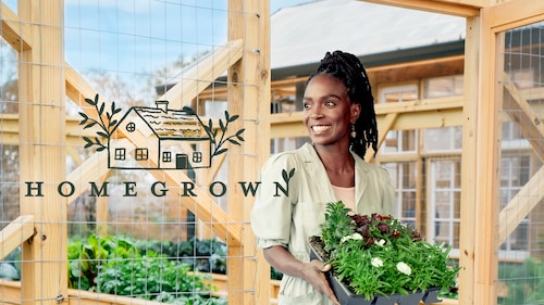 Homegrown poster — TV series on Max