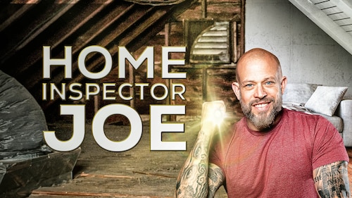 Home Inspector Joe poster — TV series on Max