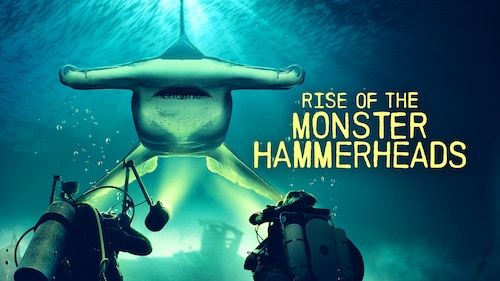 Rise of the Monster Hammerheads poster — movie on Max