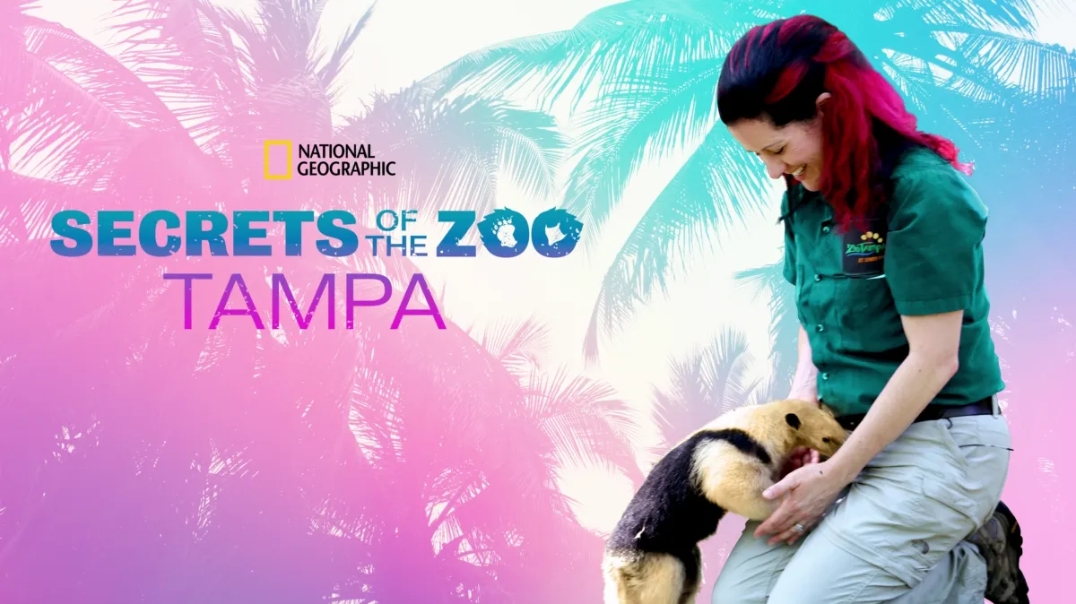 Secrets of the Zoo: Tampa poster — TV series on Disney+