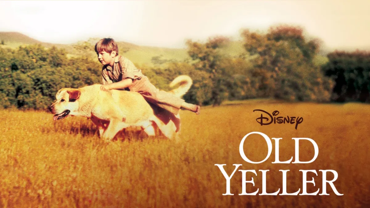 Old Yeller poster — movie on Disney+