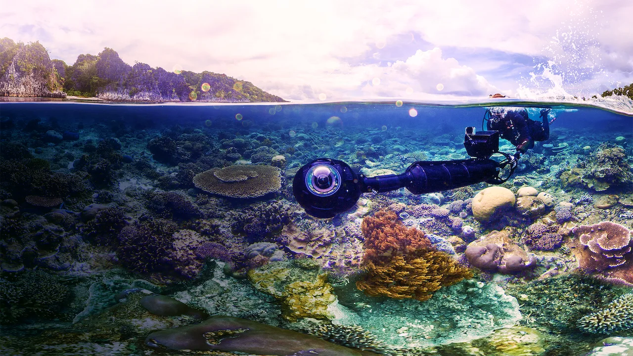 Chasing Coral