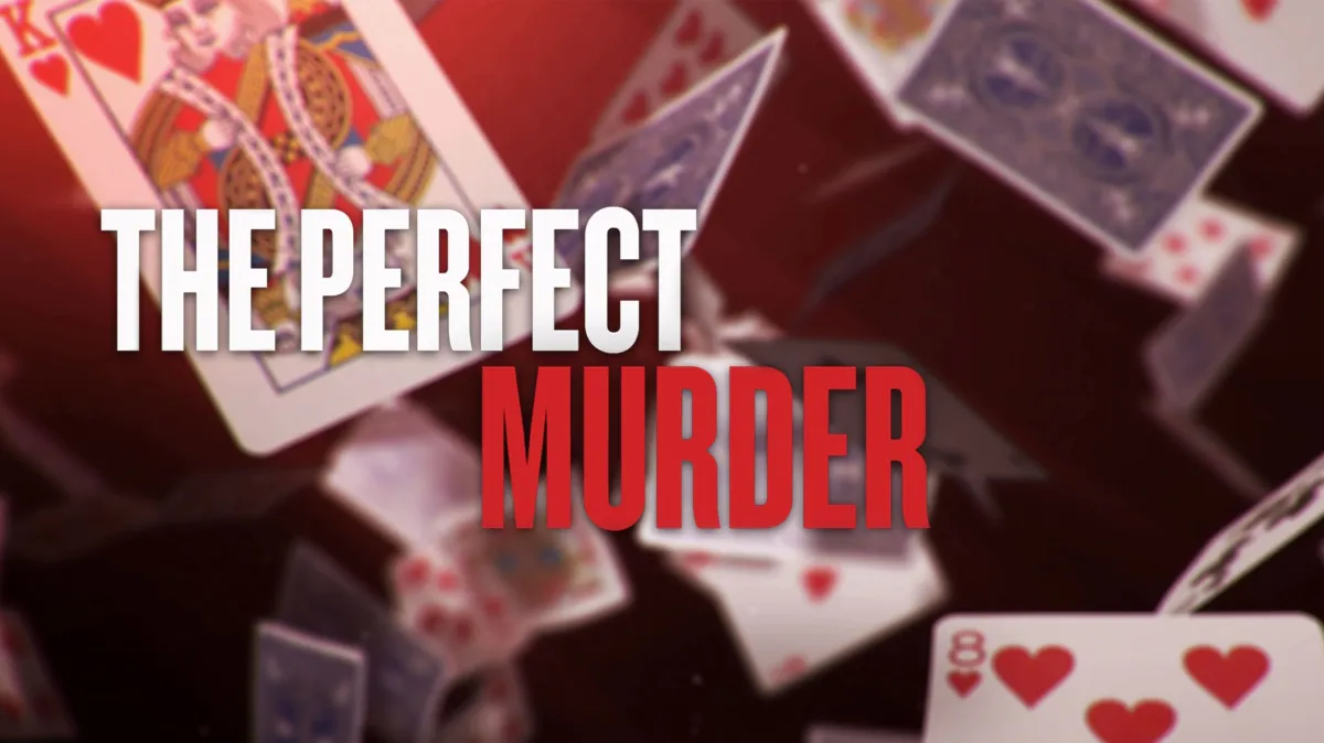 The Perfect Murder poster — TV series on Disney+