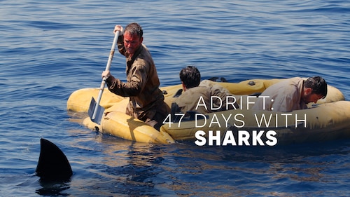 Adrift: 47 Days With Sharks poster — movie on Max