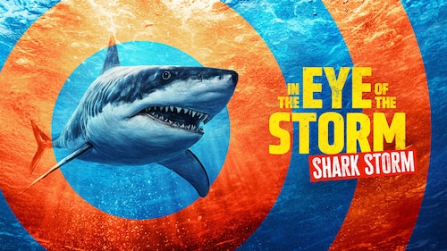 In the Eye of the Storm: Shark Storm poster — movie on Max