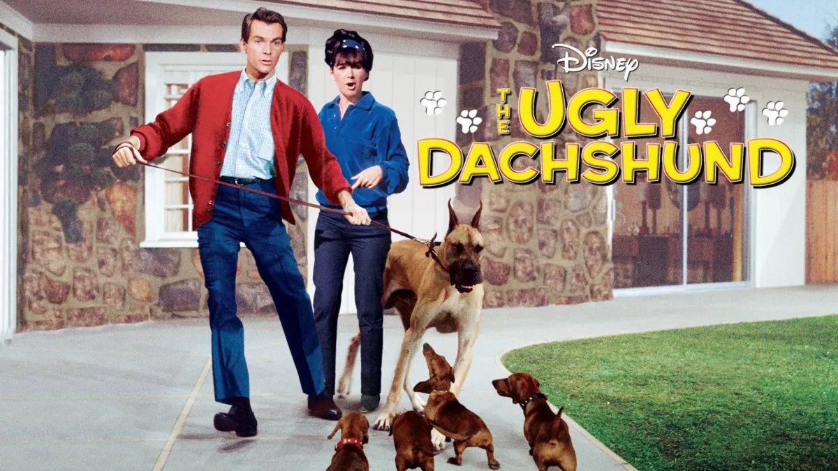 The Ugly Dachshund poster — movie on Disney+