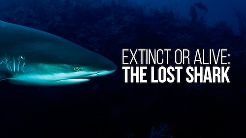 Extinct or Alive: The Lost Shark poster — movie on Max
