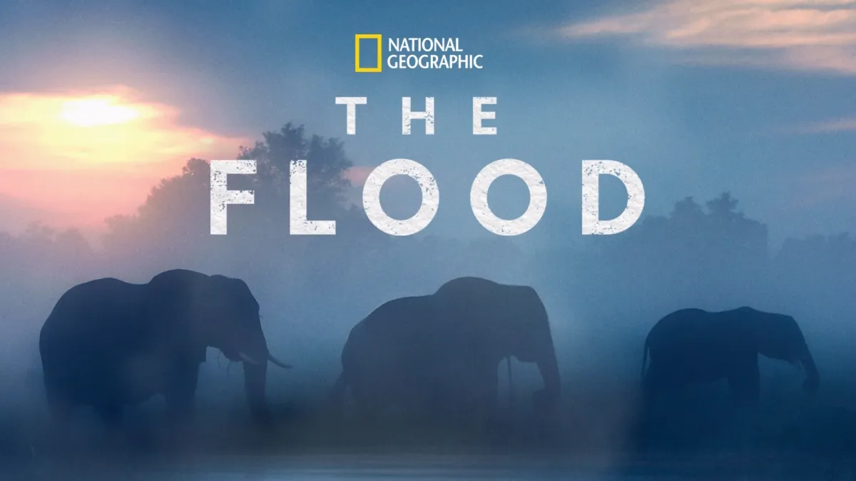 The Flood poster — movie on Disney+