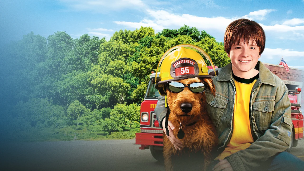 Firehouse Dog