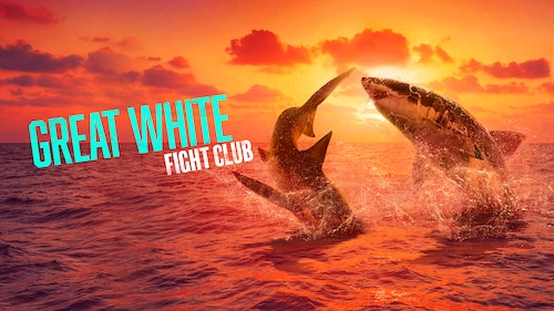 Great White Fight Club poster — movie on Max