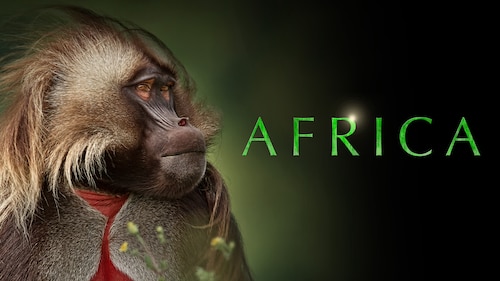 Africa poster — TV series on Max