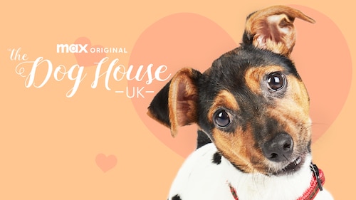 The Dog House: UK poster — TV series on Max