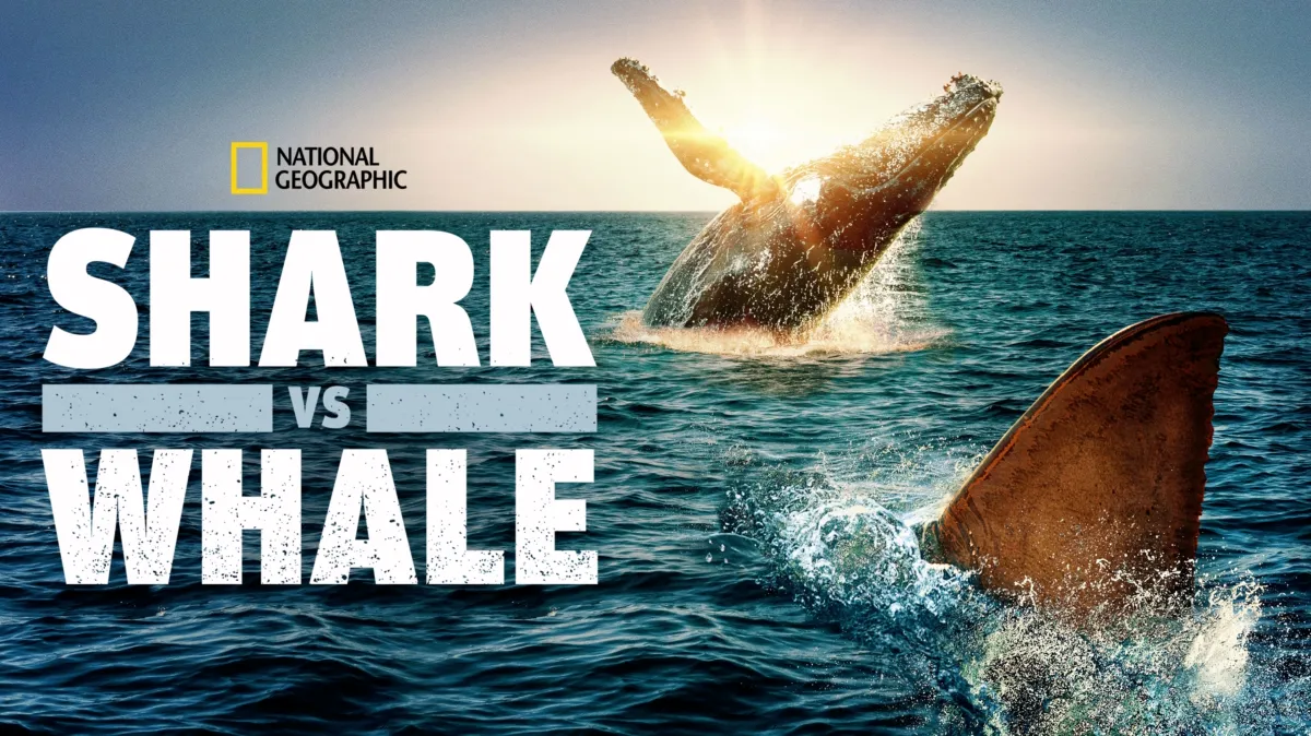 Shark vs. Whale poster — movie on Disney+