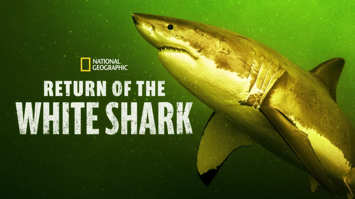 Return of the White Shark poster — movie on Disney+