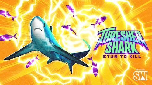 Thresher Shark: Stun to Kill poster — movie on Max