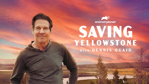 Saving Yellowstone with Dennis Quaid poster — TV series on Max