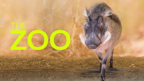 The Zoo poster — TV series on Max