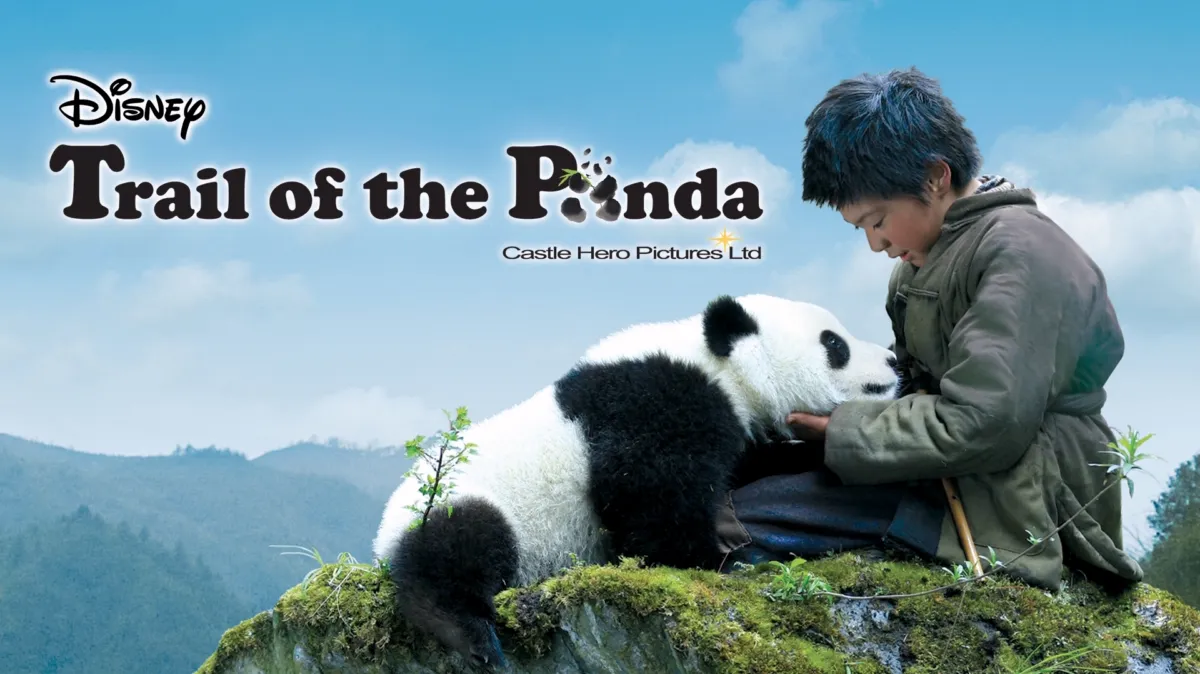 Trail of the Panda poster — movie on Disney+