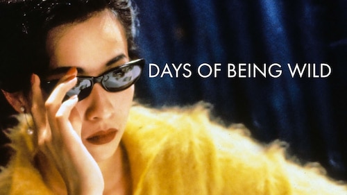 Days of Being Wild poster — movie on Max