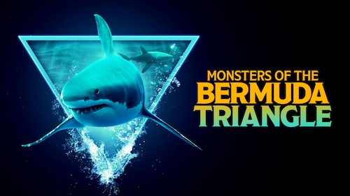 Monsters of the Bermuda Triangle poster — movie on Max