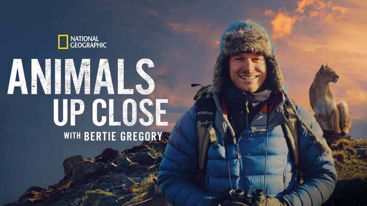 Animals Up Close with Bertie Gregory poster — TV series on Disney+