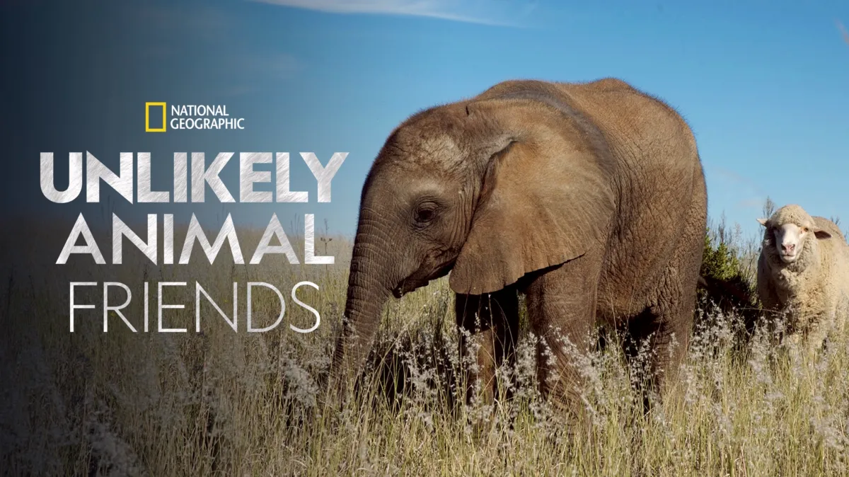 Unlikely Animal Friends poster — TV series on Disney+