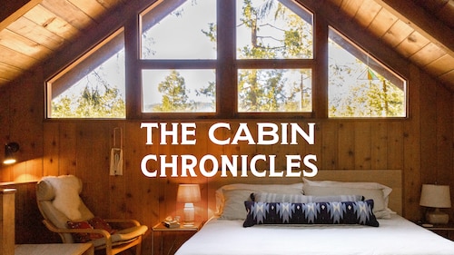 The Cabin Chronicles poster — TV series on Max