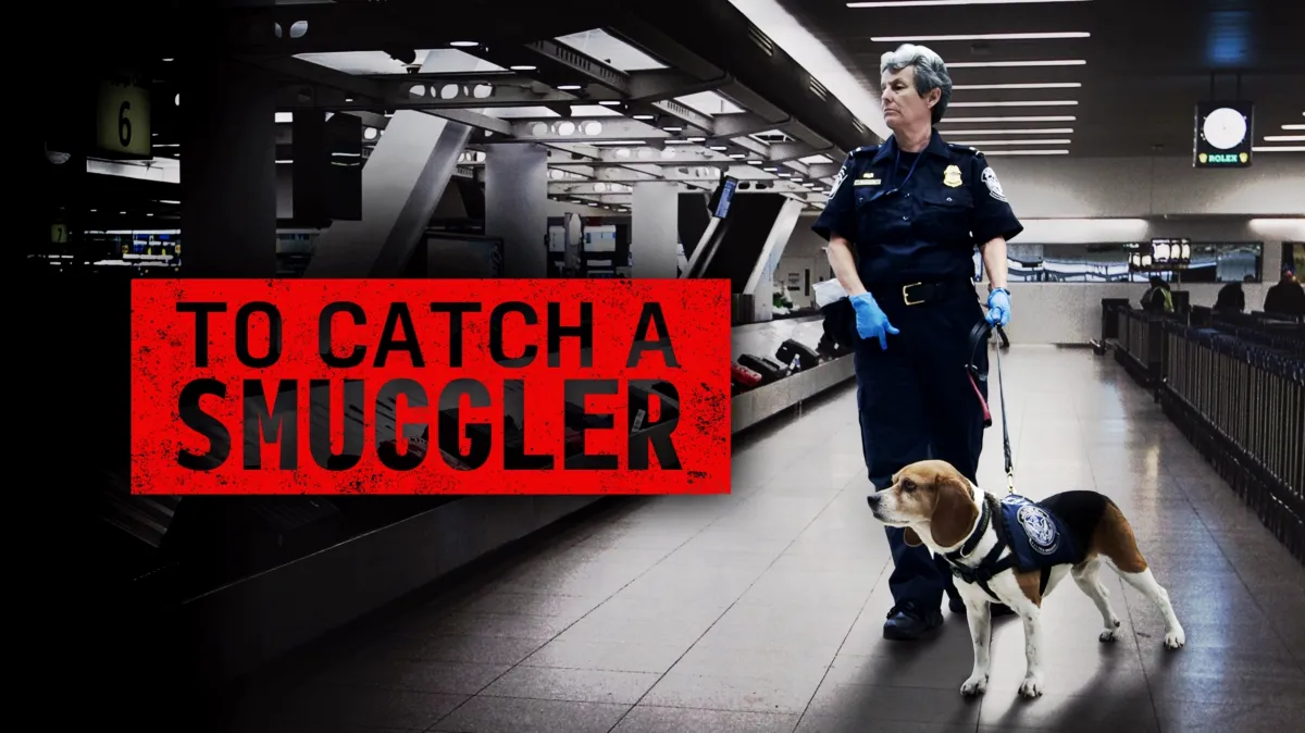 To Catch a Smuggler poster — TV series on Disney+