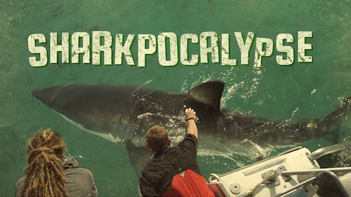 Sharkpocalypse poster — movie on Max