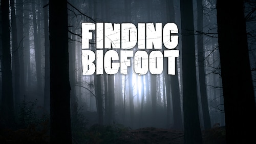 Finding Bigfoot poster — TV series on Max